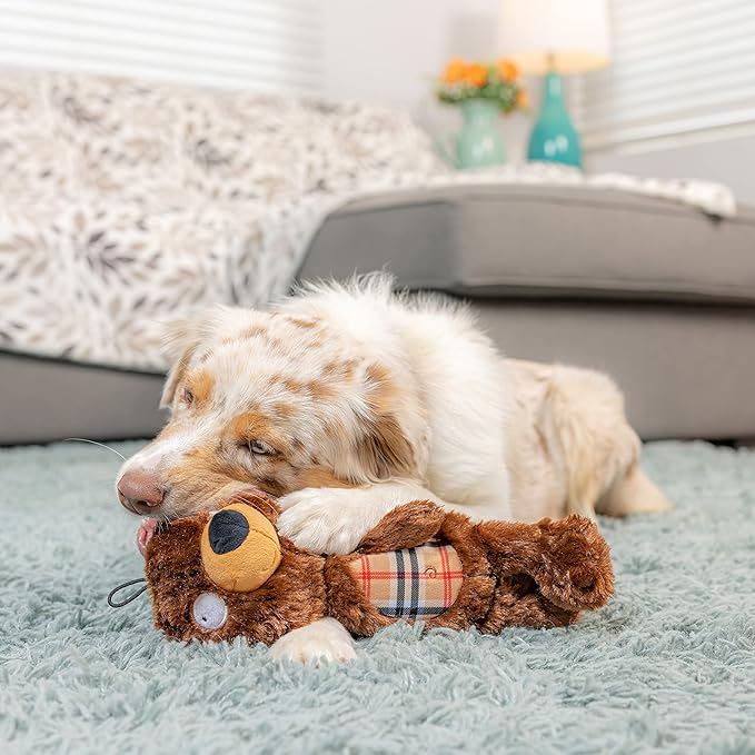 Huxley & Kent Slappies for Dogs | Beary Styles (Large) | Squeak & Shake Dog Toy | No Stuff Squeaky Toy, TPR Ball in Head | Simulates Hunting Nature for Dogs