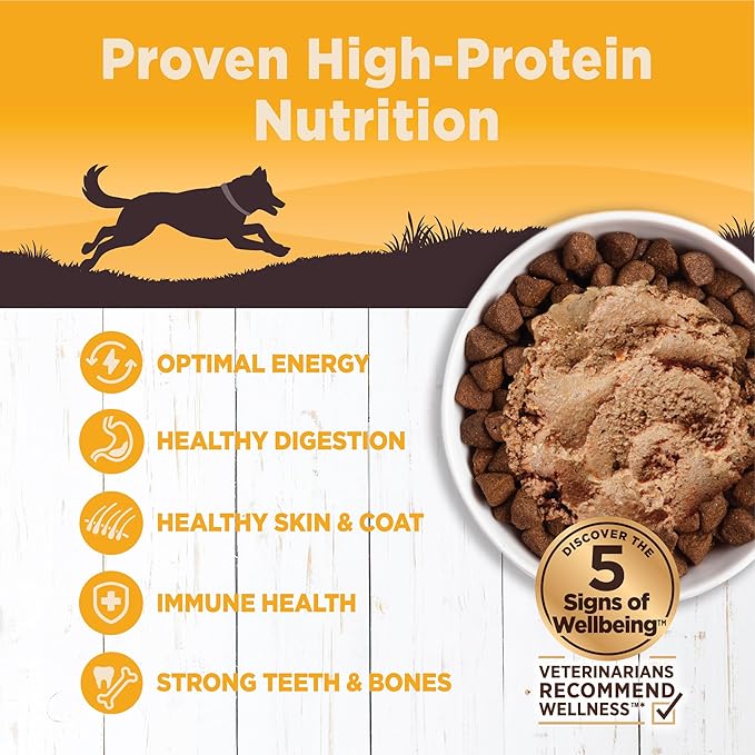 Wellness CORE 95% Adult Canned Wet Dog Food, Grain Free, Natural, Chicken and Broccoli Recipe, 12.5 oz, Pack of 12 Cans