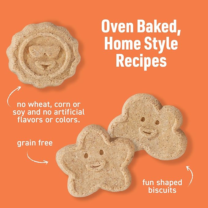 Cloud Star Wag More Bark Less - Dog Treats - Crunchy Biscuits - Grain Free Pumpkin - 14 oz Box