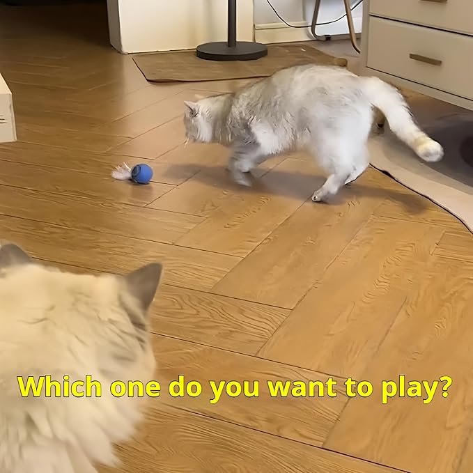 2025 Interactive Cat Toys Ball, Automatic Rolling Adult Cat Toy, Smart Moving Dog Toys for Bored Indoor Outdoor - Motion Activated Cat Toy Power Ball 2.0 Cat Toy (Blue)