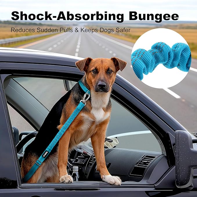 Dog Seat Belt for Car, Adjustable Dog Car Harness Seatbelt for Small Medium Large Dogs, Heavy Duty Travel Safety Restraint with Locking Aluminum Hook & Reflective Nylon Strap, Light Blue