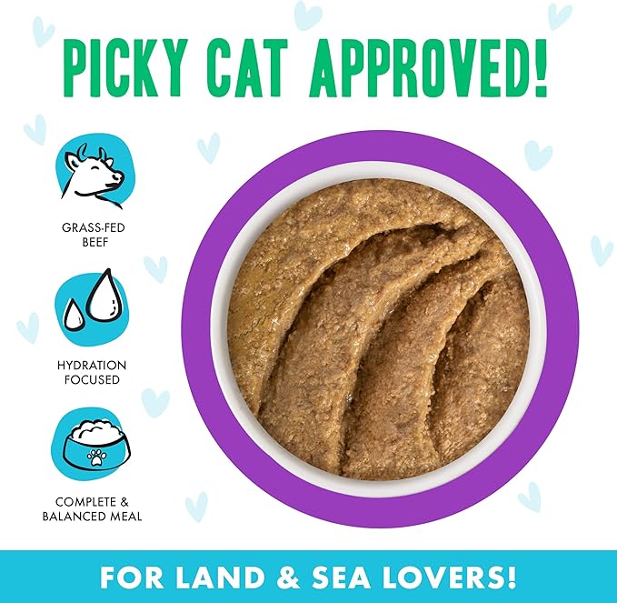 Weruva B.F.F. Play - Best Feline Friend Paté Lovers, Aw Yeah!, Beef & Tuna Ta Da! with Beef & Tuna, 3oz Pouch (Pack of 12)