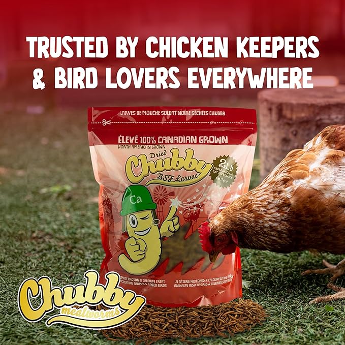 Chubby Dried Black Soldier Fly Larvae | 2 lbs | North America Grown – High Calcium Sustainable Protein Snack for Chickens, Laying Hens, Wild Birds & Reptiles