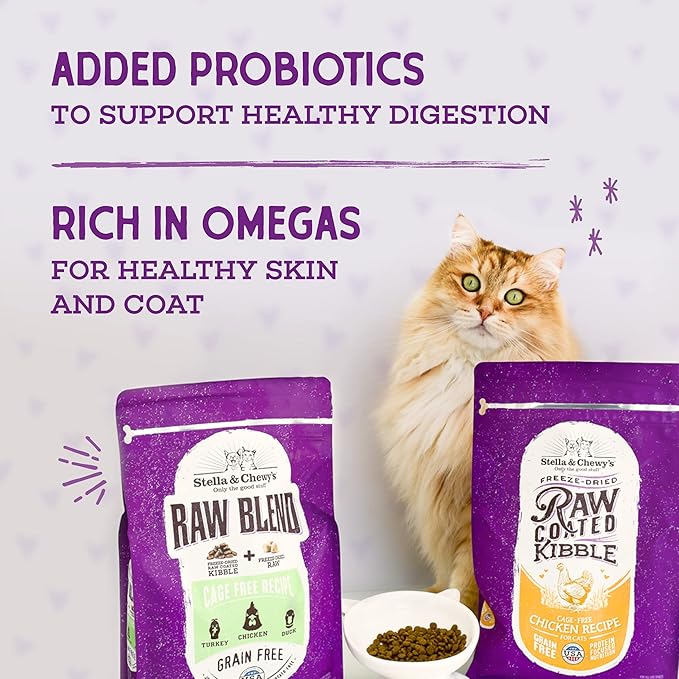 Stella & Chewy's Raw Coated Cat Food - High Protein, Grain-Free Kibble with Wild-Caught Salmon - Premium Digestive Support with Probiotics - Natural Small Kibble - Perfect For Picky Eater - 10 lb Bag