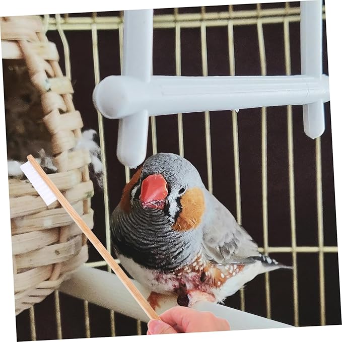 POPETPOP 2Pcs Bird Cage Cleaning Brush Set Versatile Tools with Droppings Scoop for Easy Maintenance of Bird and Small Animal Cages Durable User Friendly Bird Cage Cleaner Supplies
