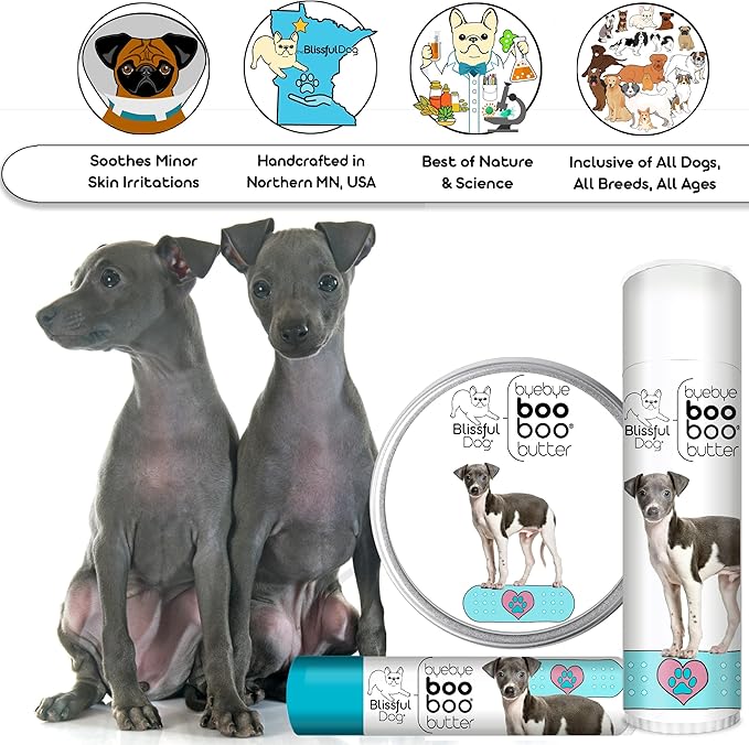 The Blissful Dog Italian Greyhound Boo Boo Butter, 0.50-Ounce
