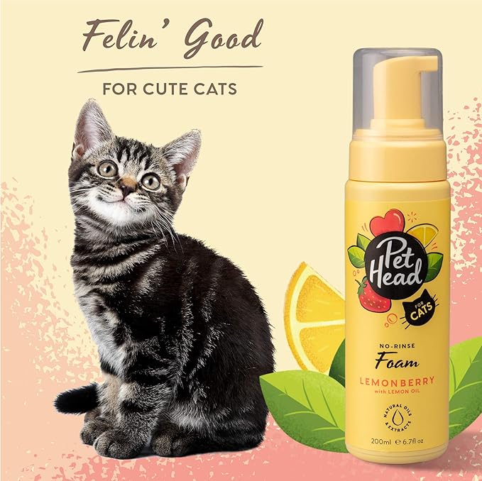 Pet Head Felin' Good Cat No Rinse Foam | Fruity Scent with Aloe Vera | Dry Cat Shampoo for Smelly Cats | Vegan | Lick-Safe | Gentle Formula for Kittens | Made in USA | 6.7 fl. oz.