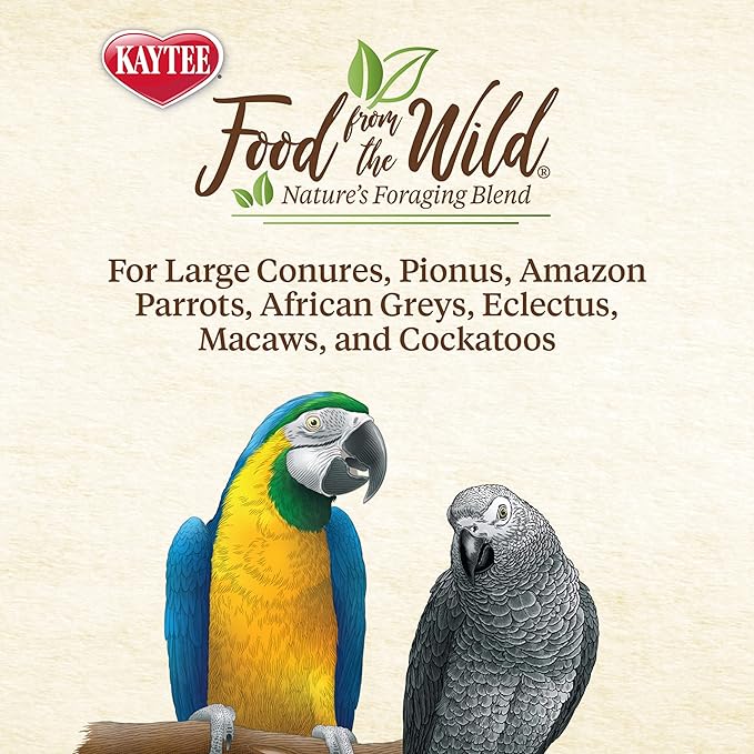 Kaytee Food from The Wild Natural Pet Bird Snack Food Treats for Conures, Pionus, Amazon Parrots, African Greys, Eclectus, Macaws, and Cockatoos, 3 oz. (Pack of 2)