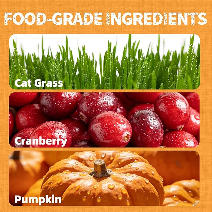 Just Try 36 OZ Cat Treats - with Cat Grass, Cranberry, Pumpkin- Healthy Cat Grass Kitten Treats Training Biscuits