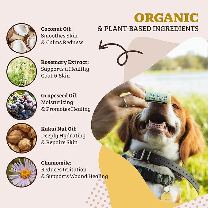 Natural Dog Company Snout Soother Dog Nose Balm 4-Pack – Moisturizing Care for Dry, Crusty, Cracked Noses with Coconut Oil & Shea Butter, Lick Safe Dog Snout Balm for All Breeds – 0.15 oz Travel Stick