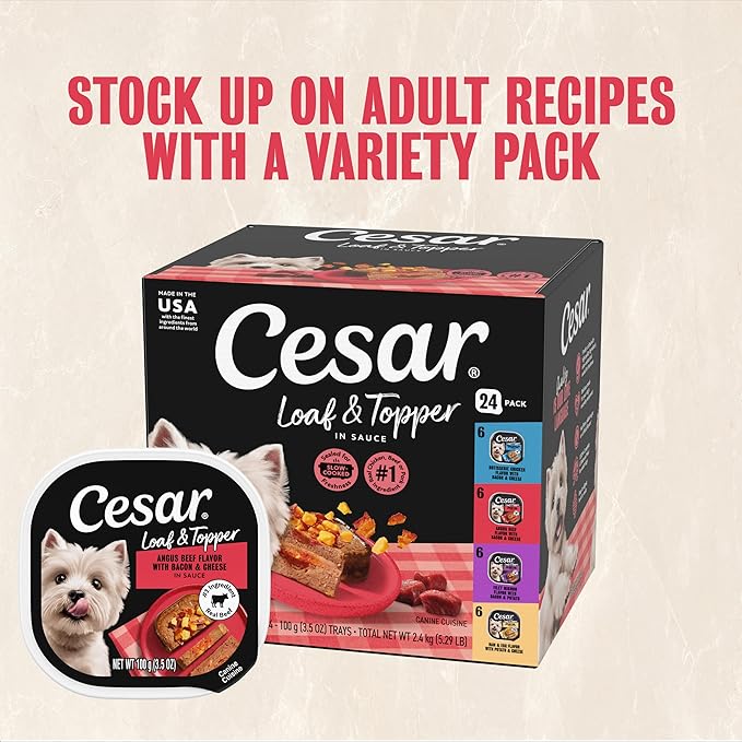 Cesar Loaf & Topper in Sauce Wet Dog Food Angus Beef Flavor with Bacon & Cheese, 3.5 oz. Easy Peel Trays, 24 Count (Pack of 1)