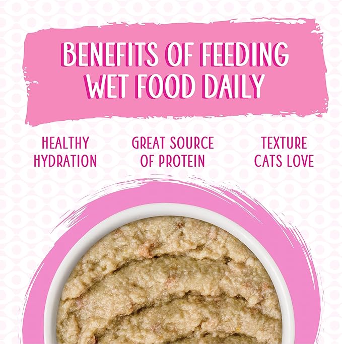 Weruva Wet Cat Food, Meal of Fortune Chicken with Chicken Liver Pate, 2.8oz Slide N Serve Pouch, Pack of 12