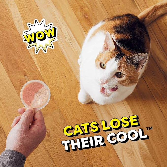 Temptations Lickable Spoons Adult Wet Cat Treat, Tasty Chicken and Savory Salmon Flavor, 10 Grams, Pack of 24 (96 Total Spoons)