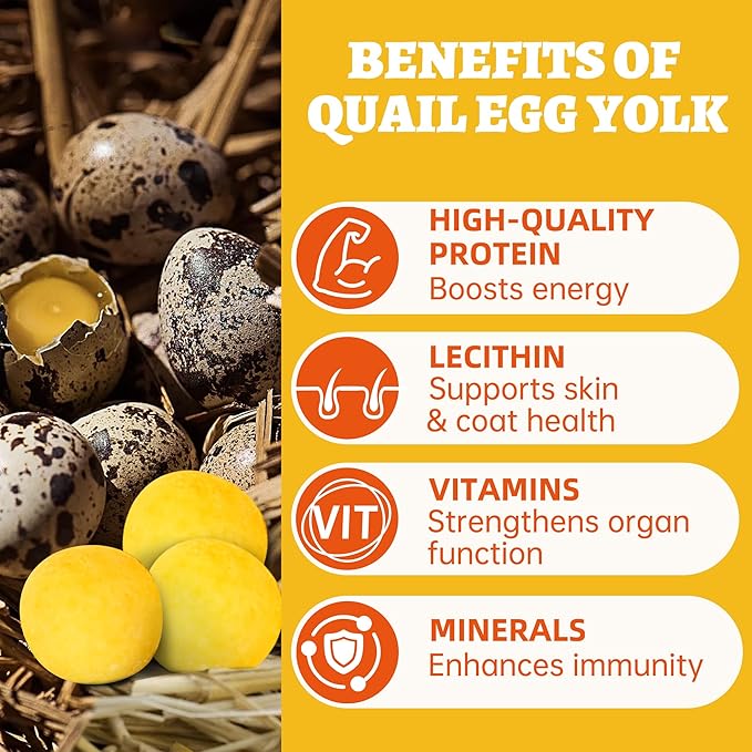 Wellix Freeze-Dried Treats for Dogs and Cats - Quail Eggs Flavor Healthy Cat Treats 4.2oz, High-Protein Freeze Dried Cat Treats for Skin&Coat Health - Delicious Training Snacks for Pets