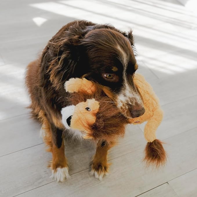 KONG Scampers Wildlife Plush Dog Toy with Low Tone Squeaker (Lion/Lemur Combo)