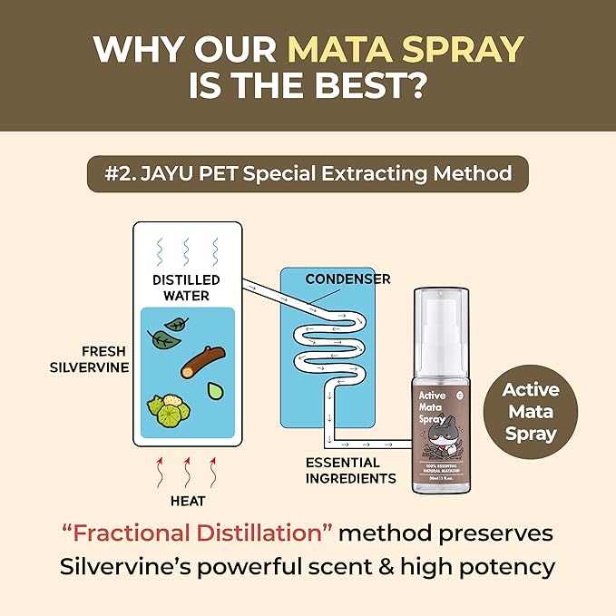 JAYU PET Active MATA Spray – 100% Natural Silvervine Spray for Cats, Liquid Catnip Alternative, Calming Mist for Indoor Kittens, Boosts Play & Engagement, Reduces Stress (1 fl oz)