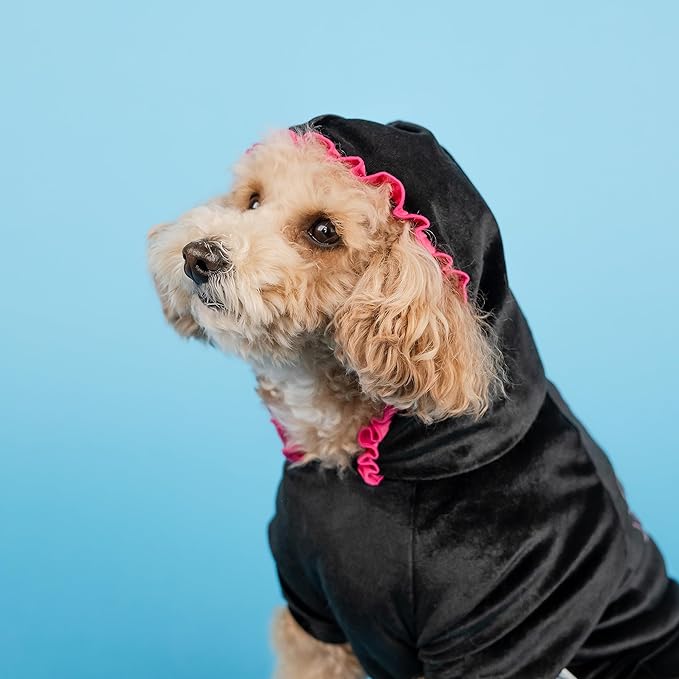 Doggy Parton Sparkle Butterfly Track Suit - M
