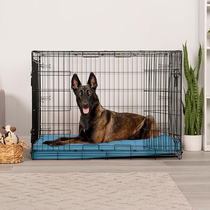 Furhaven Orthopedic Dog Bed – Puffy Quilted Foam Mattress with Removable Washable Cover, Soft & Supportive for Kennels & Crates - X-Large, Lagoon