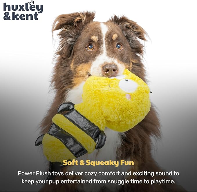 Huxley & Kent Funny Dog Toy w/Squeaker – Power Plush Squeaky Dog Toys for Small, Medium & Large Dogs – Soft Stuffed Animal for Indoor Play & Fetch - Slappies® Buzz Bee, Large