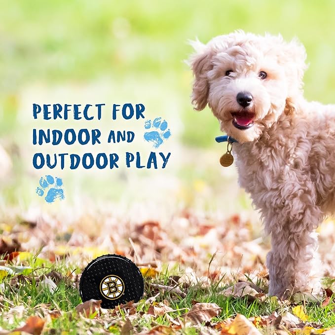 Pets First NHL Boston Bruins Hard-Nylon Bacon-Flavored Hockey-Puck Chew Toy, Indestructible Dog and Cat Chewy Toy, Tug, Fetch Toy, Sporty Fun Toy for Dogs
