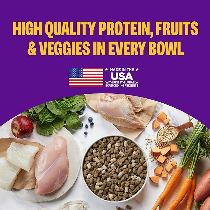 Wellness Complete Health+ Adult Dry Dog Food with Freeze Dried Wellbites, Wholesome Grain Kibble+, Natural, Chicken Free, Whitefish and Sweet Potato Recipe, 4 lb Bag