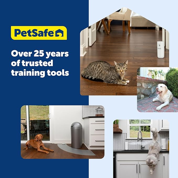 PetSafe Clik-R Training Tool for Pets - Includes Comfortable Finger Strap - Easy to Hold - Train Your Dog to Reward Good Behavior