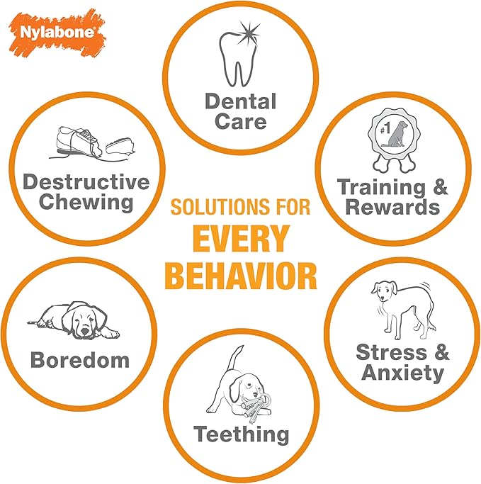 Nylabone Marrow Bone Alternative Power Chew Toy for Dogs, Dog Toys for Aggressive Chewers, Beef Flavor, Large - Up to 50 lbs, 1 Count