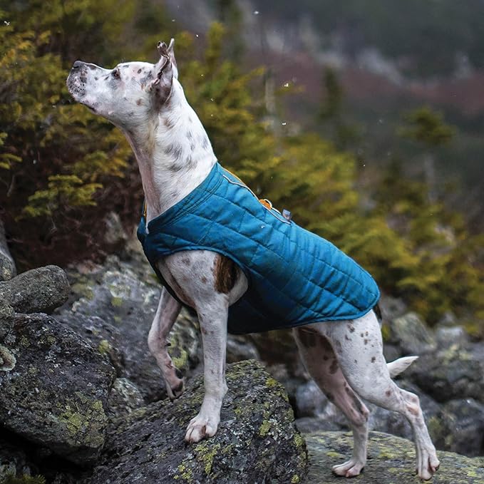 Kurgo Loft Dog Jacket - Reversible Cozy Coat for Outdoor Adventures - Water Resistant - Athletic Fit - Machine Washable Fabric - Reflective Dog Gear - Small - Coastal Blue