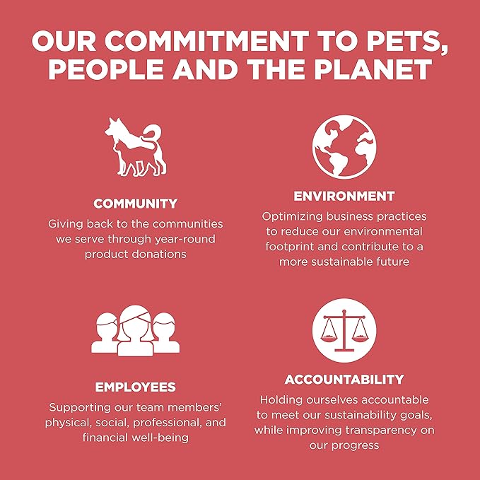 Go! Solutions Sensitivities Limited Ingredient Salmon Grain-Free Dry Dog Food, Chicken-Free Kibble Made by Experts for Sensitive Stomachs & Food Allergies, for Puppies, Adults, & Seniors, 12 lb Bag