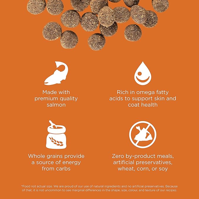Go! Solutions Skin + Coat Care Salmon Dry Dog Food with Grains, Chicken-Free, Healthy Kibble with Omega-3s & 6s for Soft, Shiny Fur, for Puppies, Adults, & Seniors, 22 lb Bag