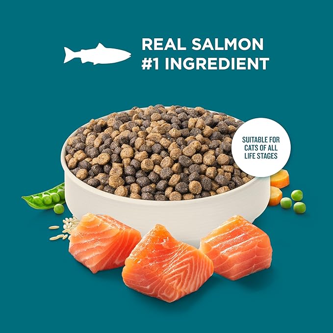 Nutrish Rachael Ray Dry Cat Food Real Salmon & Brown Rice Recipe, 5 lb. Bag