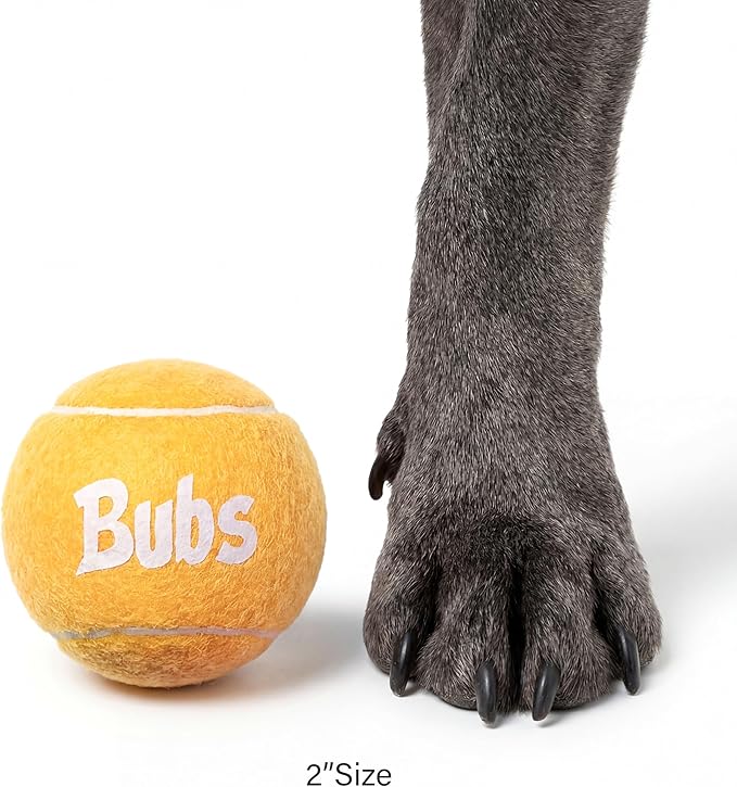 BubS Premium Durable Squeaker Balls for Dogs & Cats 3-Pack (2 inch) – Tennis Ball Style, Bouncy, Interactive, Safe & Long Lasting Fetch Pet Toys for Endless Fun (Small)