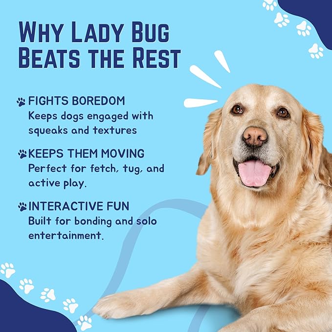 Happy Tails Interactive 9-Inch Ladybug Squeaky Dog Toy for Medium to Large Dogs, Durable Polyester with Reinforced Stitching, Red and Black