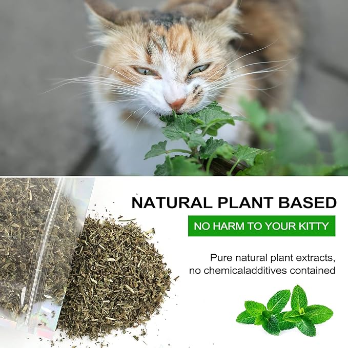 Dried Catnip, Natural Catmint, Used as a Snack or Filling Cat Toy, Delicately Dried and Sealed and Packaged for Easy Preservation (50g)