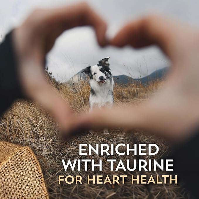 Wholesomes Sensitive Skin & Stomach Dry Dog Food, Lamb Protein & Rice Recipe, Highly Digestible Ancient Grains, 30 lb Bag