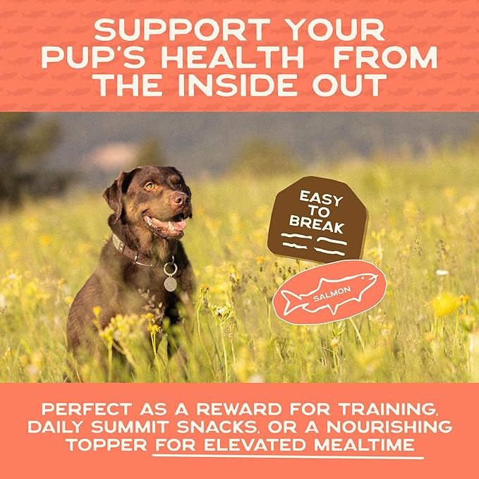 Smart Cookie Salmon Jerky Dog Treats - DHA, Omega Strips for Dogs & Puppies with Allergies, Sensitive Stomachs with Wild Caught Alaskan Salmon- Dehydrated, Grain Free, Made in USA - 3oz Bag, Pack of 3