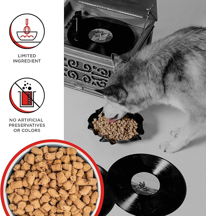 BIXBI Liberty Freeze-Dried Dog Food Topper & Treats, Beef – 98% Meat & Organs, No Refrigeration – USA Made, 12 oz