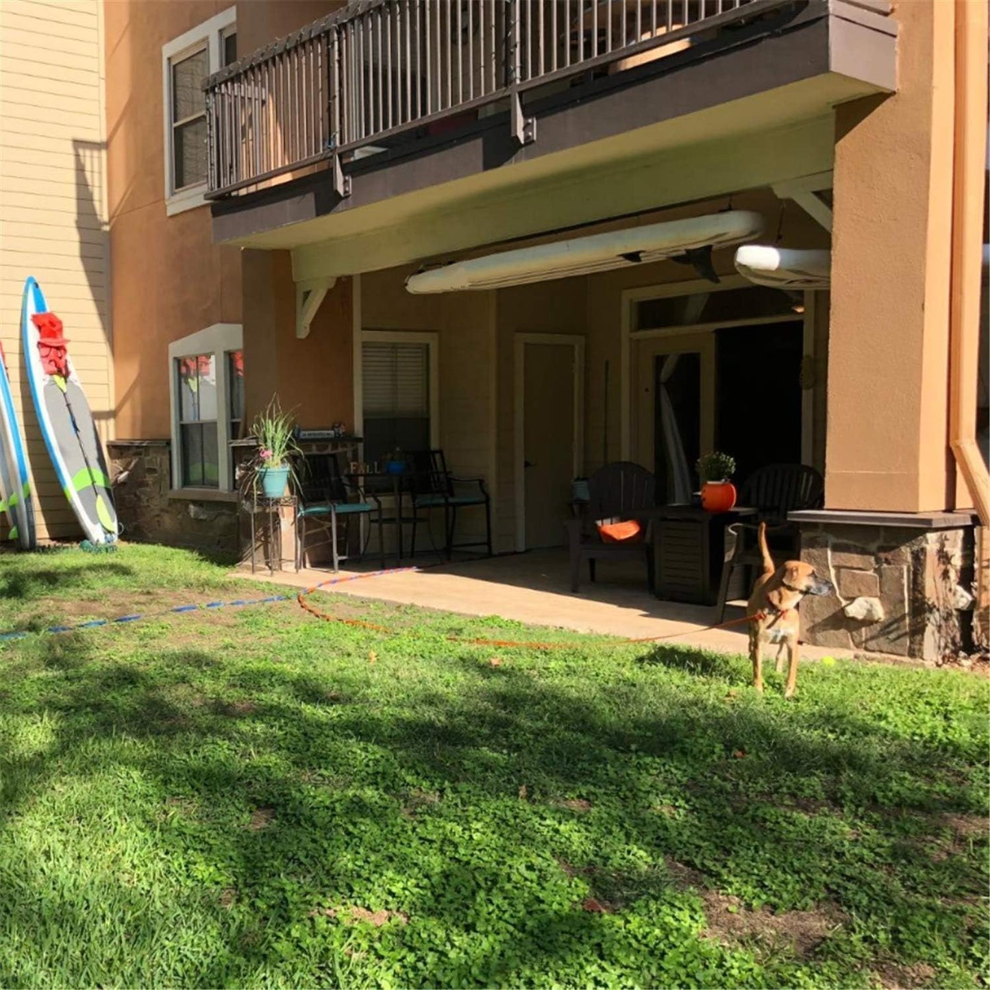 Dog/Puppy Obedience Recall Training Agility Lead - 15ft 20ft 30ft 40ft 50ft Training Leash - Great for Play, Camping, or Backyard (Brown, 30 Feet)