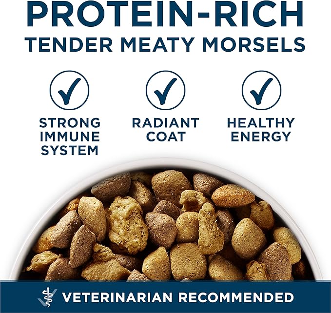 Purina One +Plus Dry Dog Food for Large Adult Dogs High Protein, Real Chicken - 31.1 lb Bag