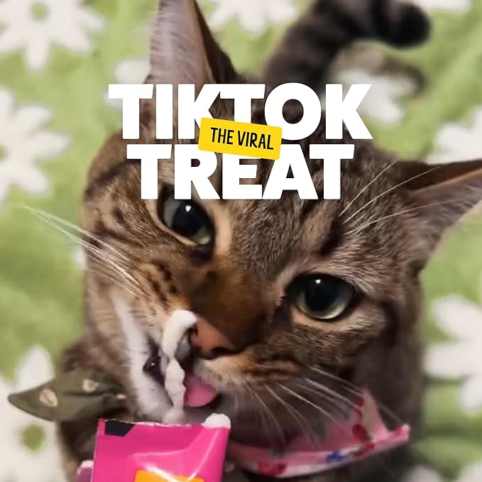 Bonkers Licky Tubes Salmon Flavored Wet Lickable Treats for Cats, 4 Pack (Pack of 15)