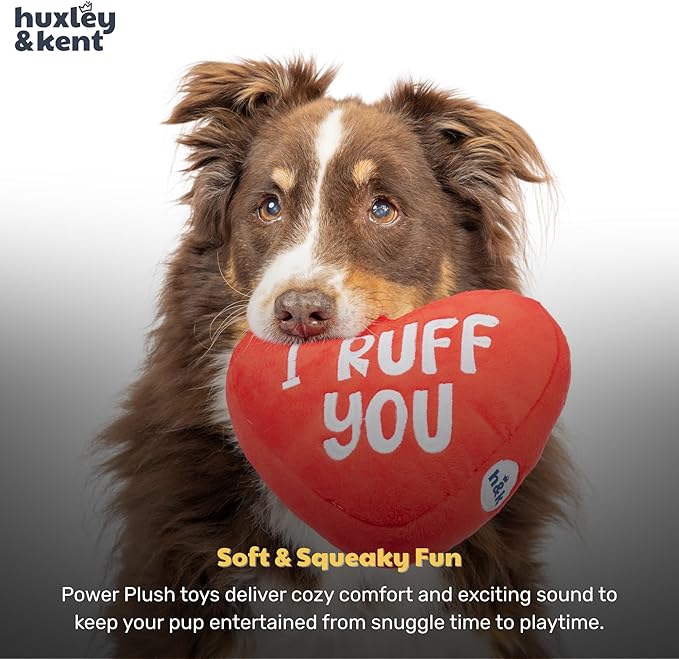 Huxley & Kent Funny Dog Toy w/Squeaker – Valentine's Day Power Plush Squeaky Dog Toys for Small, Medium & Large Dogs – Soft Stuffed Animal for Indoor Play & Fetch - First Lick Heart, Large