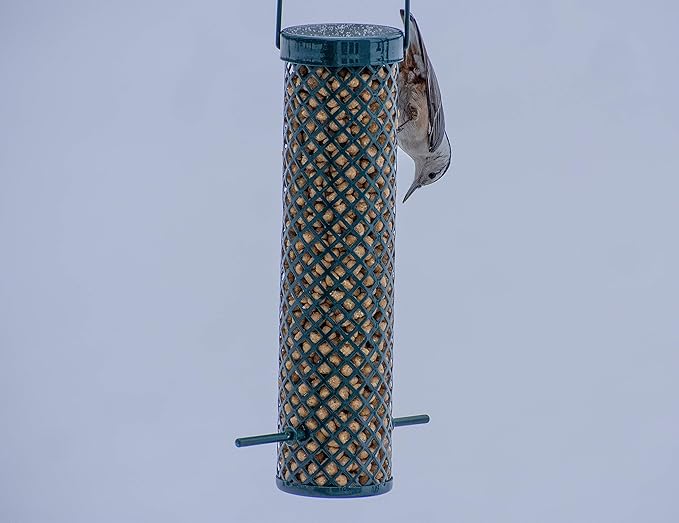 C&S Wild Bird Woodpecker Suet Nuggets Mega Box,8 Pounds,(Pack of 2)