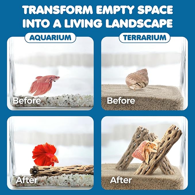 SunGrow Hermit Crab Woods, Climbing Logs, Chews, Keep Hermies Busy and Active, Long Dried Aquarium Décor Adds Raw Beauty
