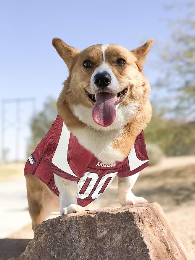 Pets First NFL Arizona Cardinals Dog Jersey, Size Small, Football Shirt Costume for Pet, Dog Sports T-Shirt, NFL Team Clothing for Cats, Licensed Pet Apparel Available in 7 Sizes and 32 Teams