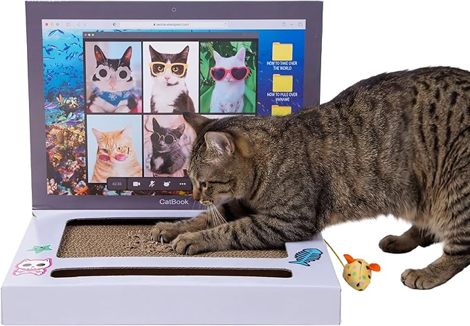 Kitty City Laptop Corrugate Cat Scratcher with Ball Track Toy - Scratch Pad Lounger, Horizontal Corrugate Nail File Bed for Indoor Kittens, Kitty Enrichment & Play, 15” x 10.2”