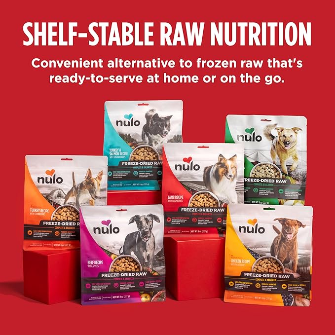 Nulo Freeze-Dried Raw Beef Recipe with Apples Complete and Balanced Dry Dog Food Kibble, 18 Ounce Bag