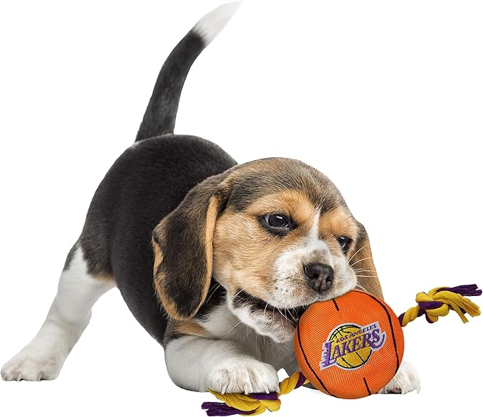 Pets First NBA LOS ANGELES LAKERS Basketball Toy. - Tough Nylon Pet Toy with Tug Ropes & inner Squeaker, One Size, LAK-3105