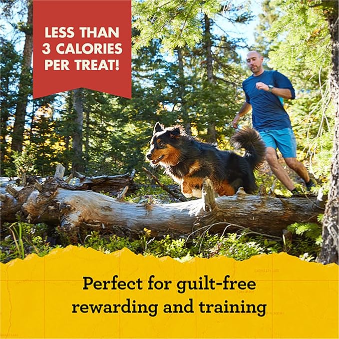 Zuke's Mini Naturals Dog Training Treats, Salmon Recipe, Soft Mini Dog Treats with Vitamins & Minerals, Made for All Breed Sizes (Salmon, 16 Ounce (Pack of 2)