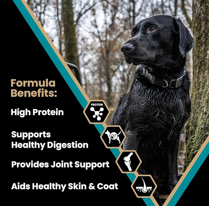 VICTOR Super Premium Dog Food – Realtree MAX-5 PRO High Protein Dry Kibble – Promotes Joint Health with Glucosamine – 30% Protein, Gluten Free for Active & Sporting Adult Dogs, 5lb