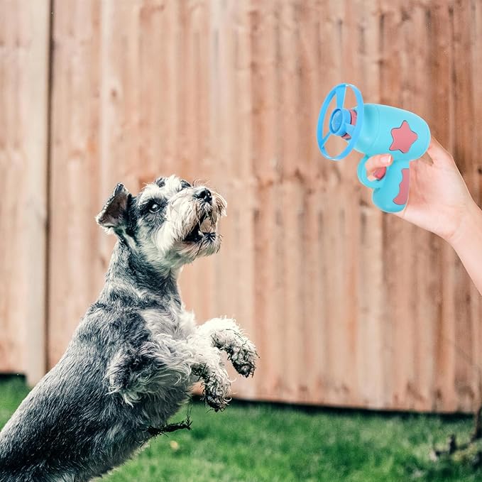 VANZACK 1set Kitten Interactive Flying Disc Toy Outdoor Chasing Game for Cats Engaging Pet Plaything Non-Glowing Discs for Fun